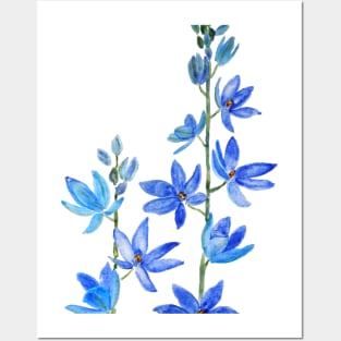 blue lady orchid flower watercolor Posters and Art